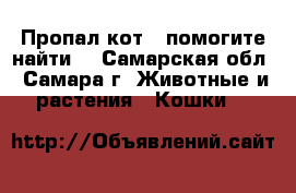 Пропал кот - помогите найти! - Самарская обл., Самара г. Животные и растения » Кошки   